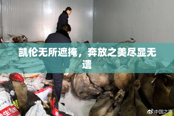 凯伦无所遮掩，奔放之美尽显无遗
