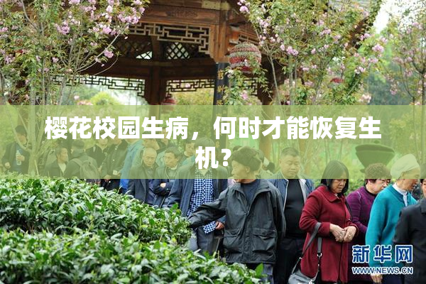 樱花校园生病，何时才能恢复生机？