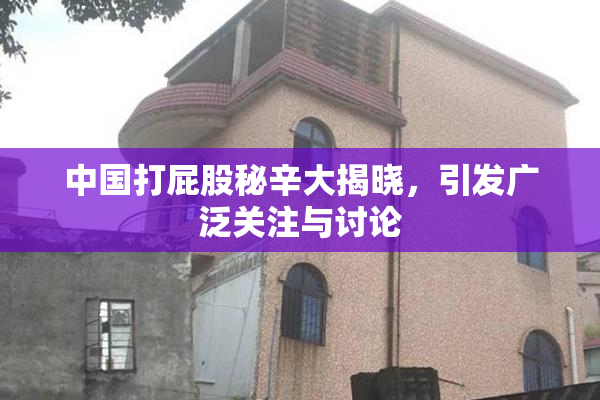 中国打屁股秘辛大揭晓，引发广泛关注与讨论