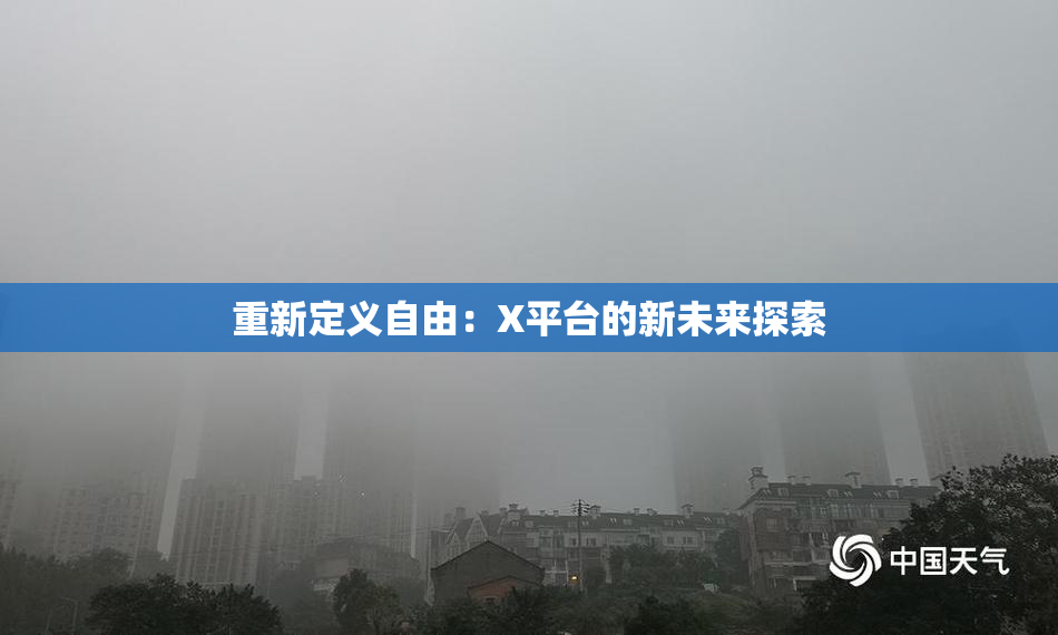 重新定义自由：X平台的新未来探索