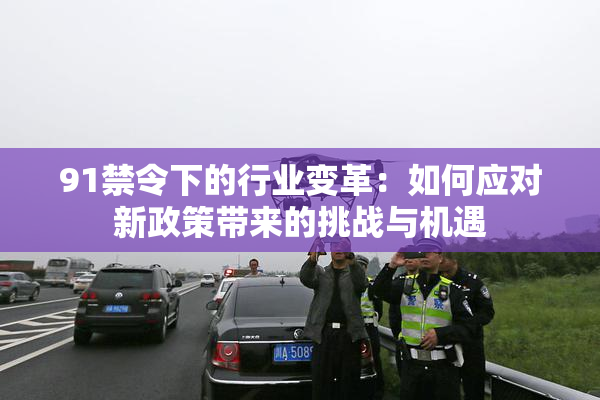 91禁令下的行业变革：如何应对新政策带来的挑战与机遇