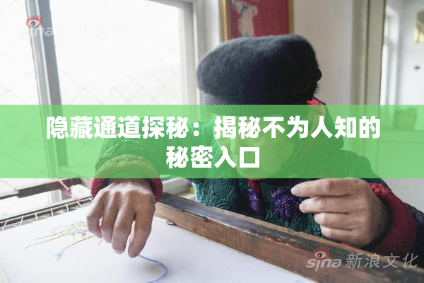 隐藏通道探秘：揭秘不为人知的秘密入口