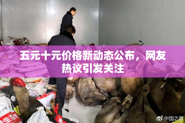五元十元价格新动态公布，网友热议引发关注