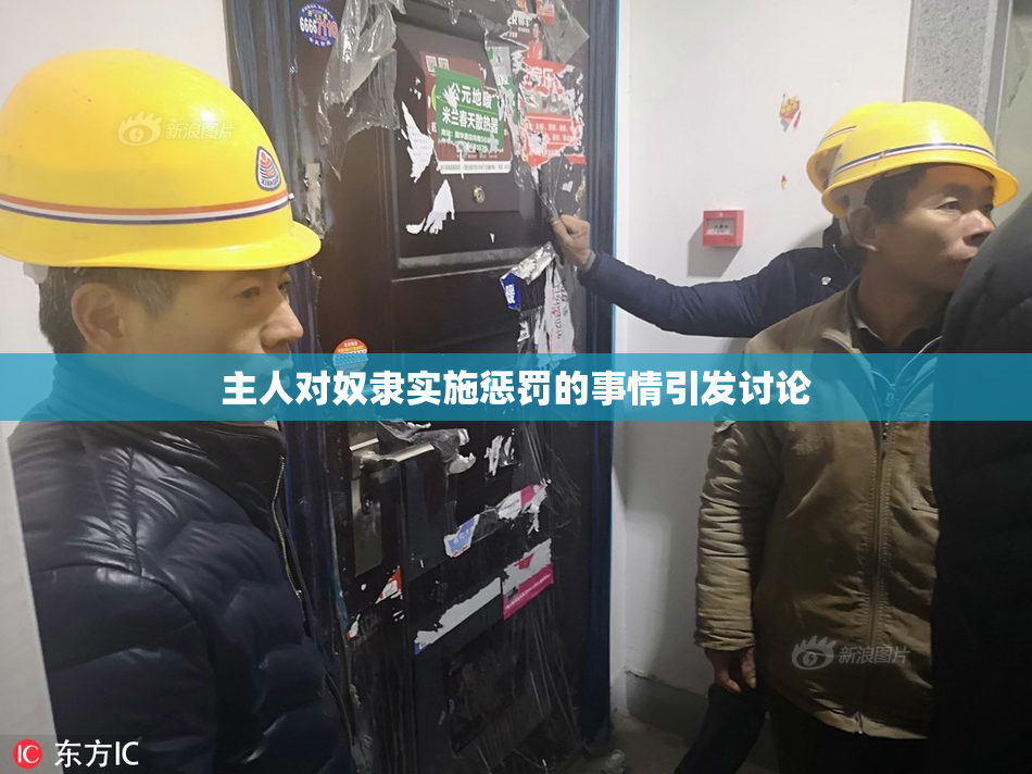 主人对奴隶实施惩罚的事情引发讨论