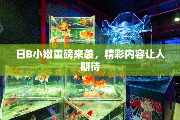 日B小嫩重磅来袭，精彩内容让人期待