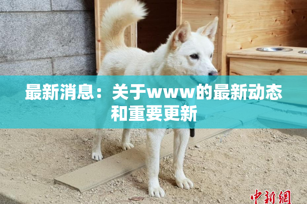 最新消息：关于www的最新动态和重要更新