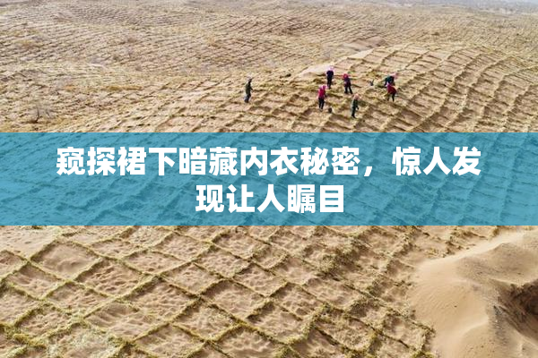 窥探裙下暗藏内衣秘密，惊人发现让人瞩目