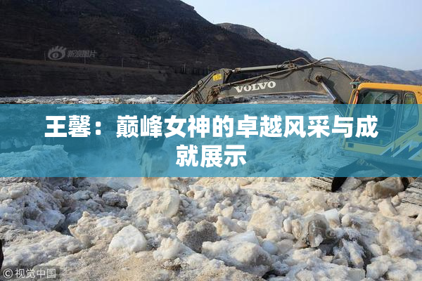 王馨：巅峰女神的卓越风采与成就展示