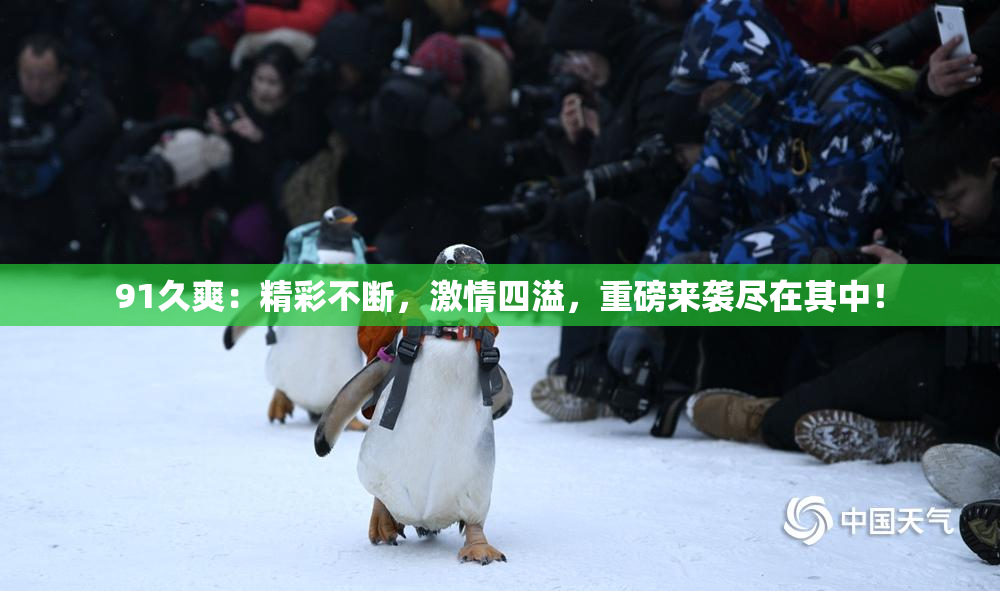 91久爽：精彩不断，激情四溢，重磅来袭尽在其中！