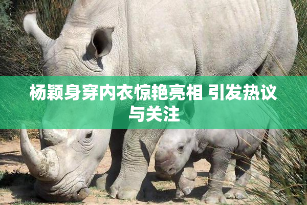 杨颖身穿内衣惊艳亮相 引发热议与关注