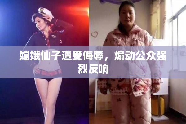 嫦娥仙子遭受侮辱，煽动公众强烈反响