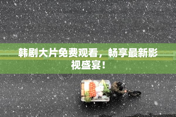 韩剧大片免费观看，畅享最新影视盛宴！