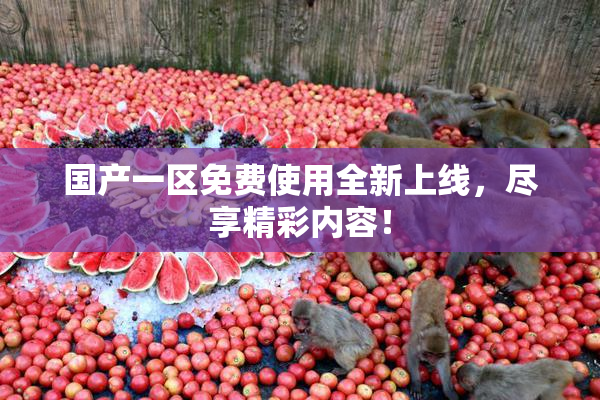 国产一区免费使用全新上线，尽享精彩内容！