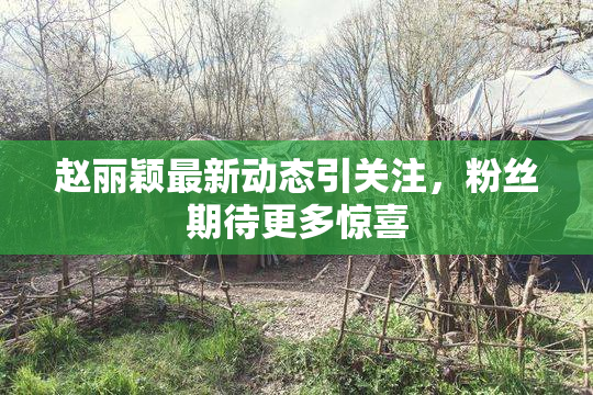 赵丽颖最新动态引关注，粉丝期待更多惊喜