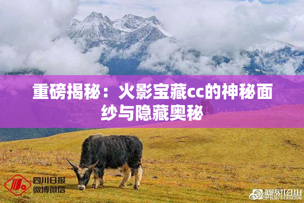 重磅揭秘：火影宝藏cc的神秘面纱与隐藏奥秘