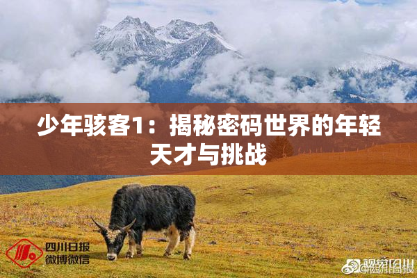 少年骇客1：揭秘密码世界的年轻天才与挑战