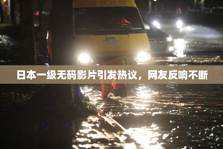 日本一级无码影片引发热议，网友反响不断