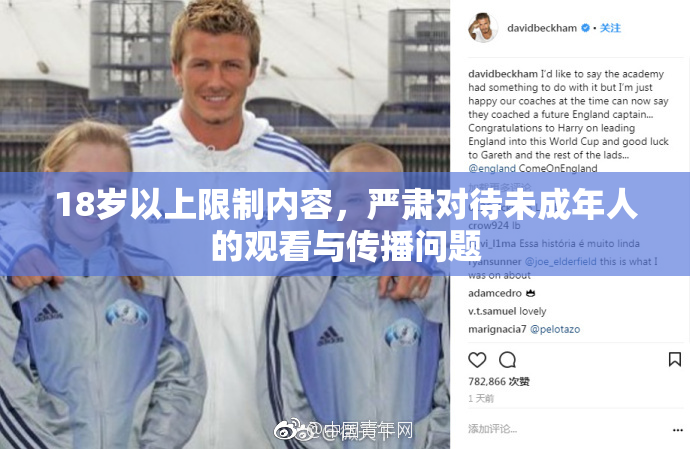 18岁以上限制内容，严肃对待未成年人的观看与传播问题