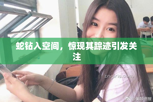 蛇钻入空间，惊现其踪迹引发关注