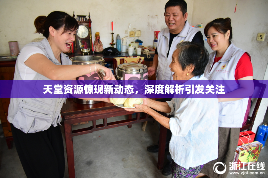 天堂资源惊现新动态，深度解析引发关注