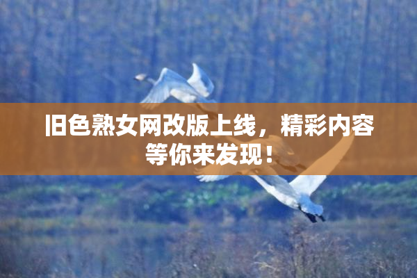 旧色熟女网改版上线，精彩内容等你来发现！