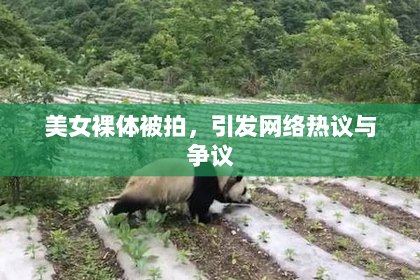 美女裸体被拍，引发网络热议与争议