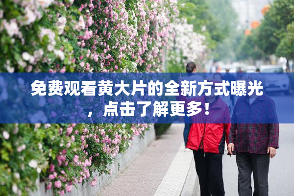 免费观看黄大片的全新方式曝光，点击了解更多！