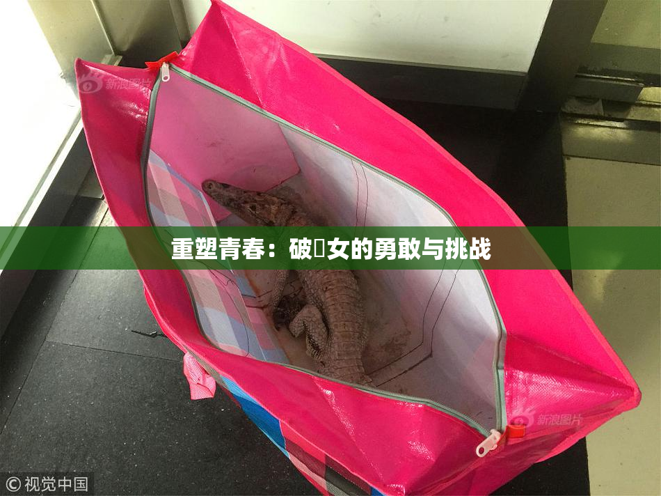重塑青春：破處女的勇敢与挑战