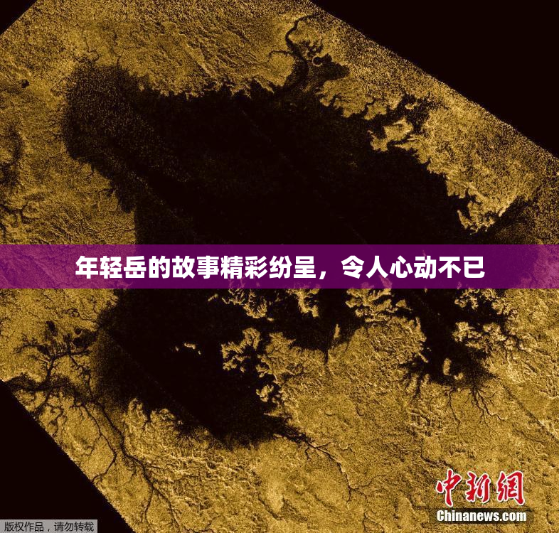 年轻岳的故事精彩纷呈，令人心动不已