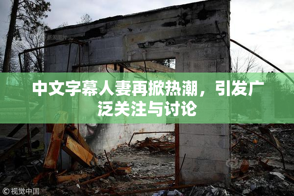 中文字幕人妻再掀热潮，引发广泛关注与讨论