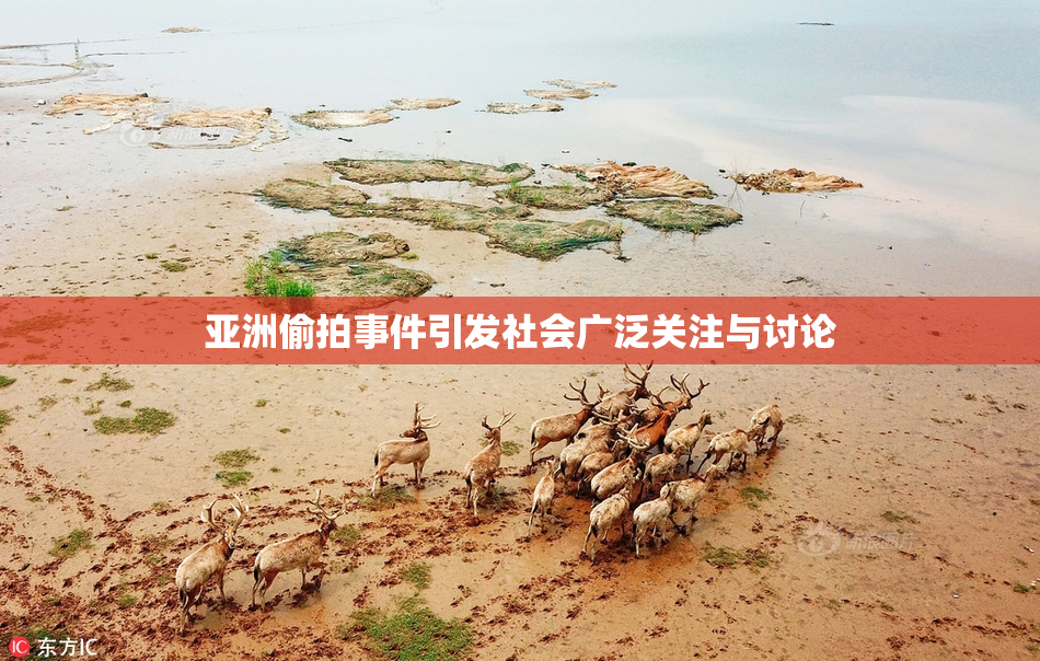 亚洲偷拍事件引发社会广泛关注与讨论