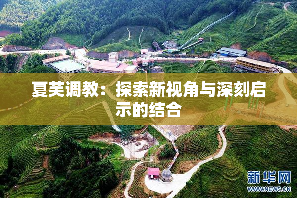 夏芙调教：探索新视角与深刻启示的结合