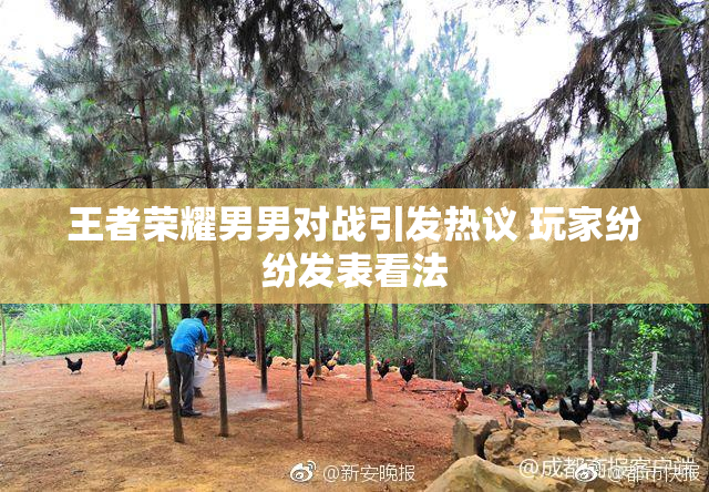 王者荣耀男男对战引发热议 玩家纷纷发表看法