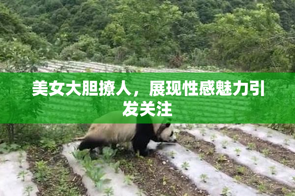 美女大胆撩人，展现性感魅力引发关注