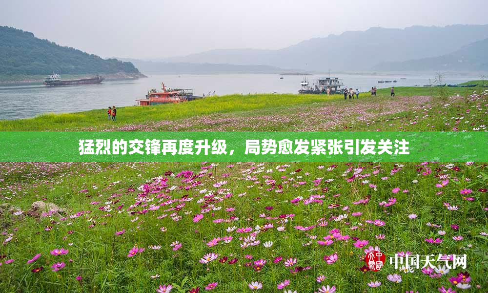 猛烈的交锋再度升级，局势愈发紧张引发关注