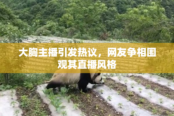 大胸主播引发热议，网友争相围观其直播风格