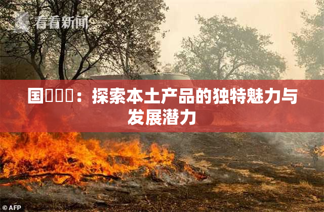国產梱綁：探索本土产品的独特魅力与发展潜力