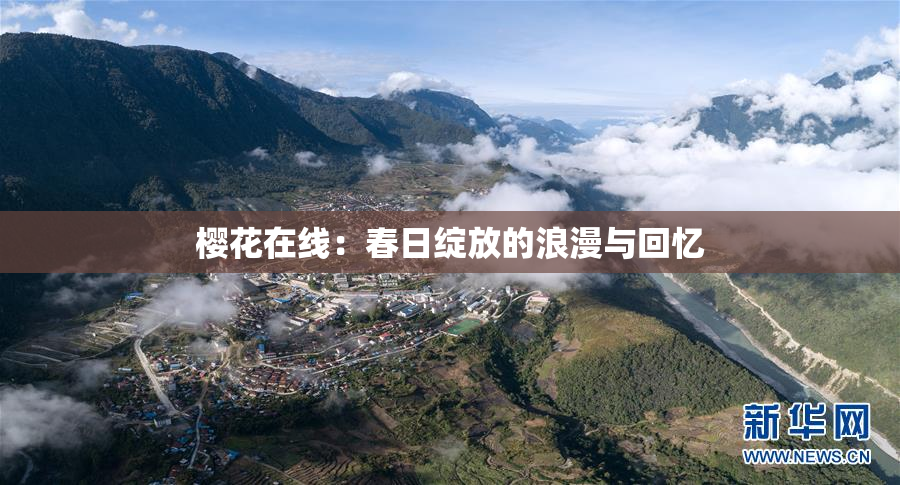 樱花在线：春日绽放的浪漫与回忆