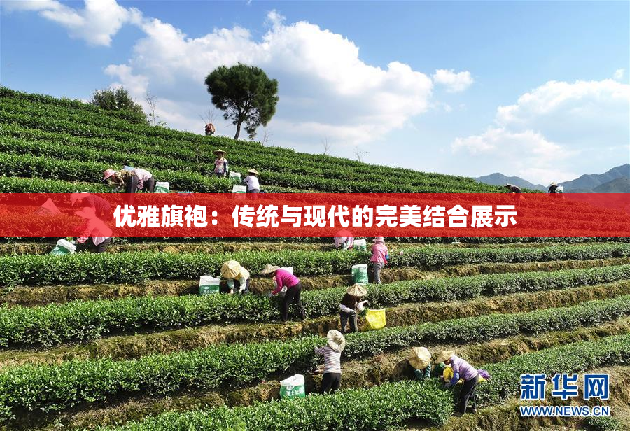 优雅旗袍：传统与现代的完美结合展示