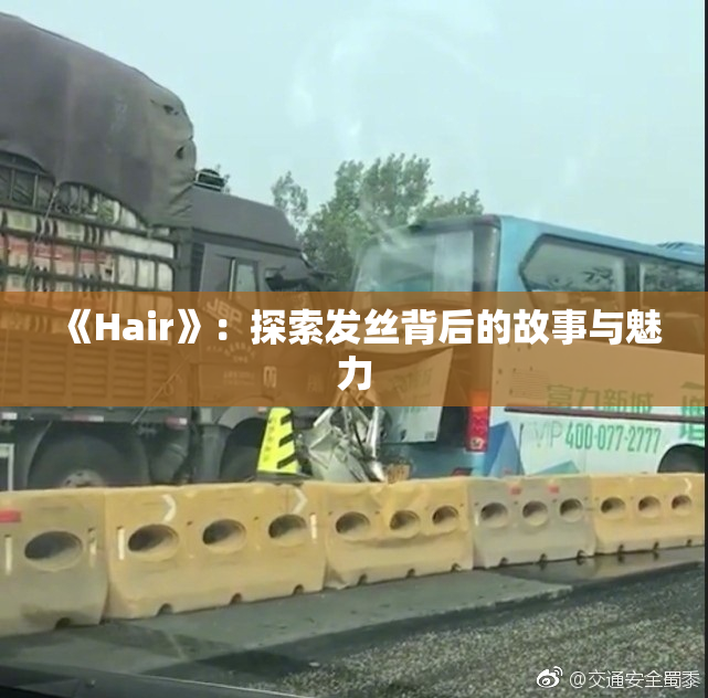 《Hair》：探索发丝背后的故事与魅力