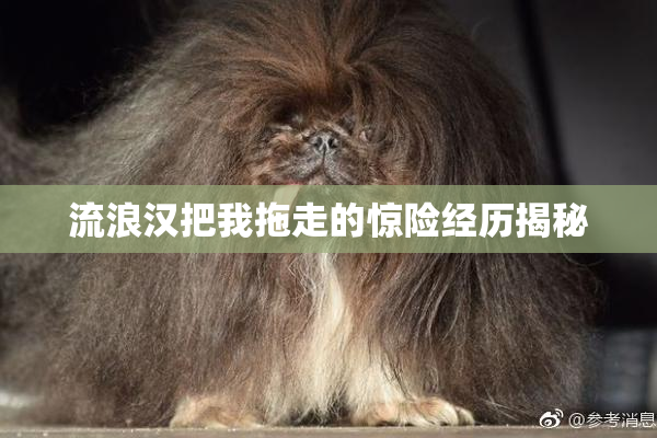 流浪汉把我拖走的惊险经历揭秘