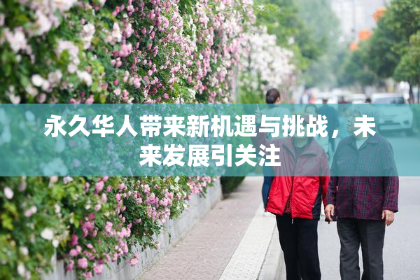 永久华人带来新机遇与挑战，未来发展引关注