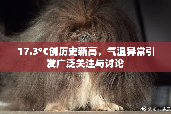 17.3°C创历史新高，气温异常引发广泛关注与讨论