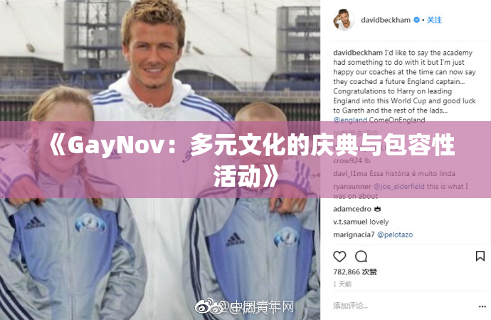 《GayNov：多元文化的庆典与包容性活动》