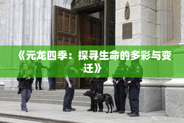 《元龙四季：探寻生命的多彩与变迁》