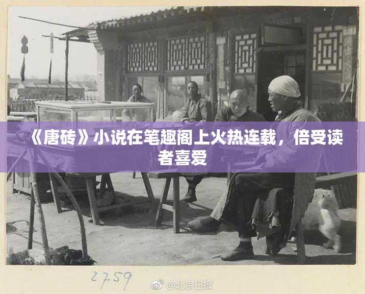 《唐砖》小说在笔趣阁上火热连载，倍受读者喜爱
