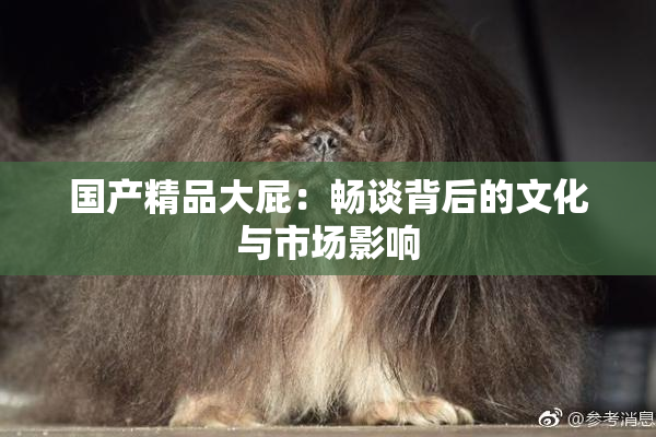 国产精品大屁：畅谈背后的文化与市场影响