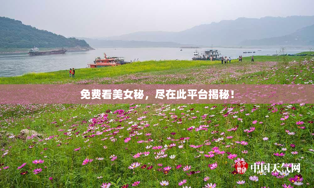 免费看美女秘，尽在此平台揭秘！