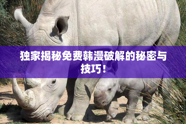 独家揭秘免费韩漫破解的秘密与技巧！