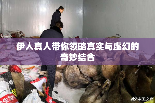 伊人真人带你领略真实与虚幻的奇妙结合